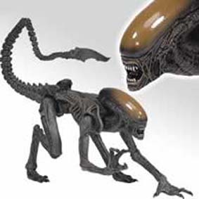 Alien Dog M.M. 6 (aberto)