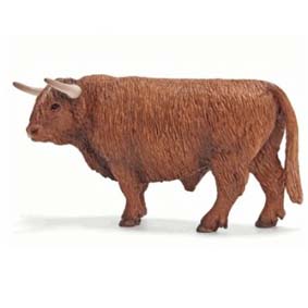Boi escocês 13658 (Brinquedo Schleich Brasil) Bull Scottish Highland