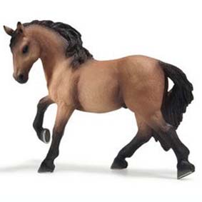 Garanhão Lusitano (Cavalo) - 13666