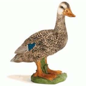 Pato Selvagem 13653 (Schleich 2011 Toys Brasil) Duck 