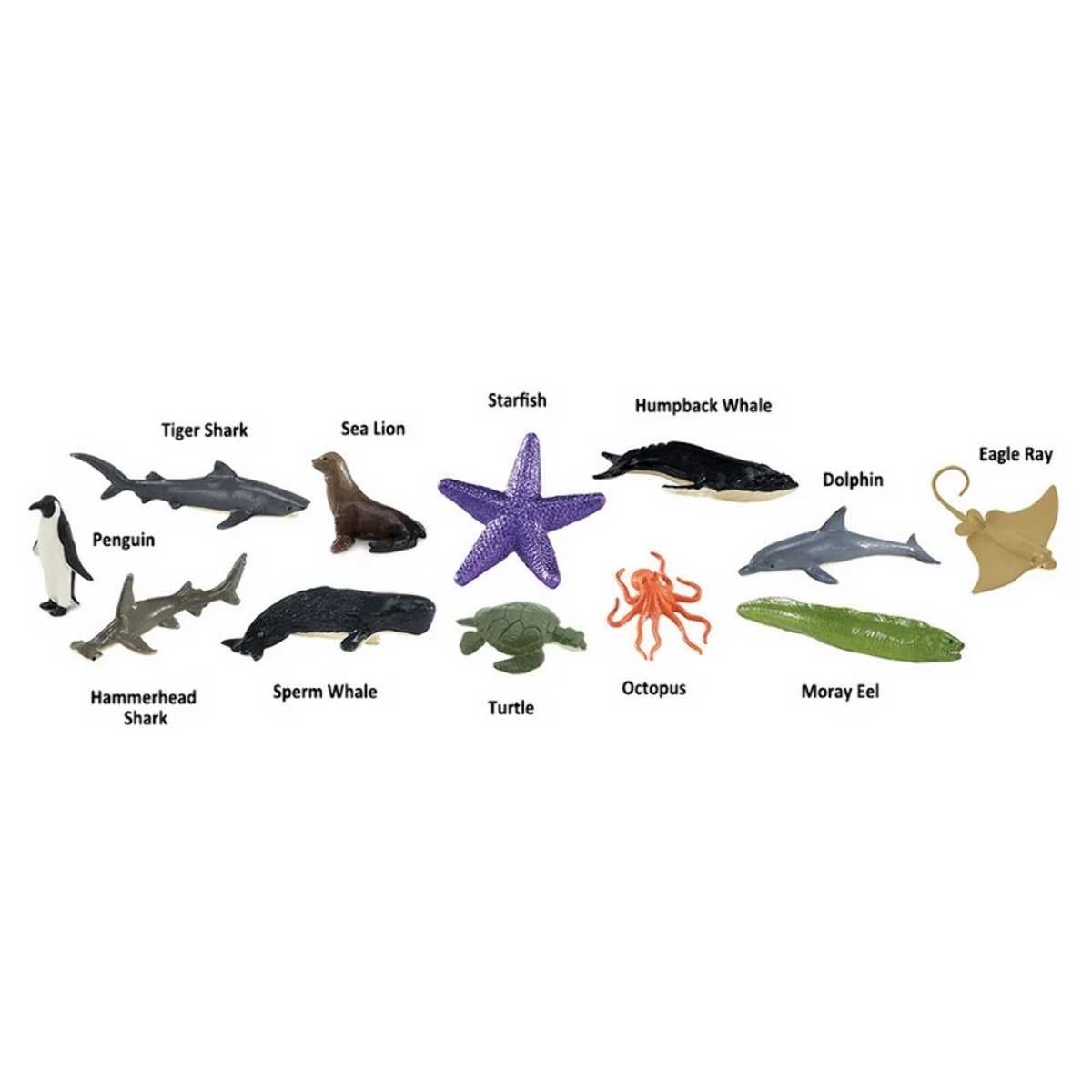 Tubarão, Baleia, Golfinho, Tartaruga, Estrela do Mar, Raia, Pinguim, Leão Marinho Safari