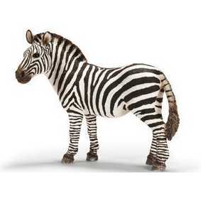 Zebra fêmea - 14392