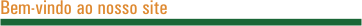 Bem vindo ao nosso site